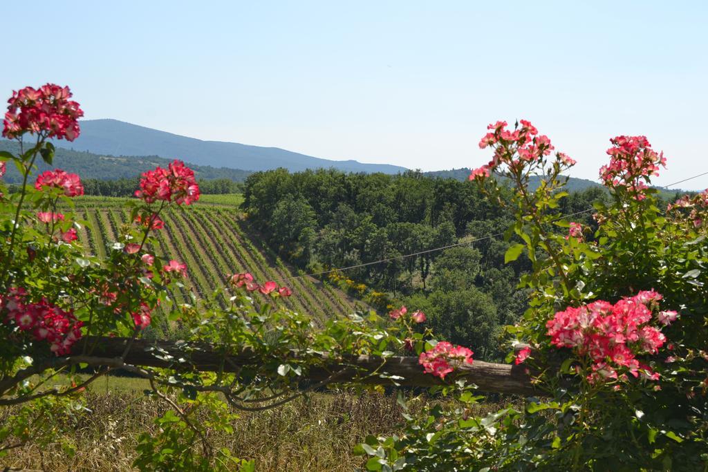Agriturismo Cignanbianco Castellina in Chianti Exterior foto